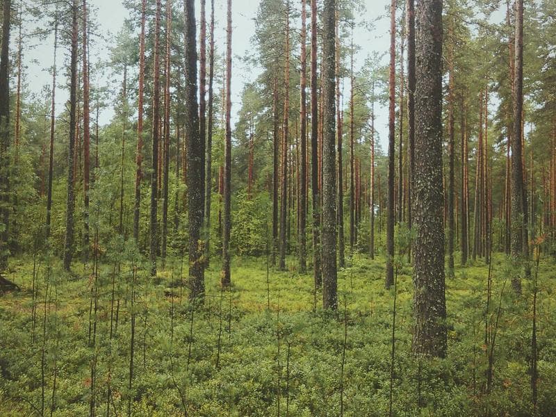 Einfahrten – Vorher/Nachher 1 – Vorher